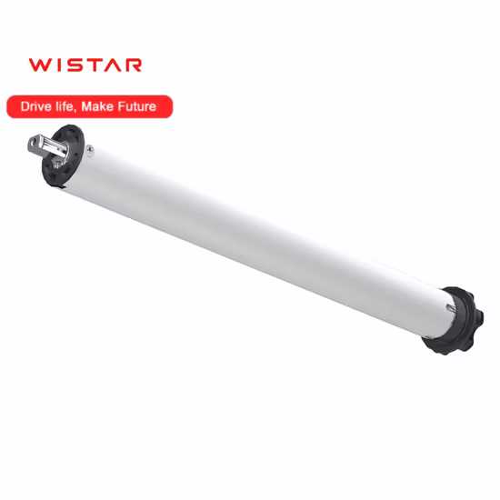 Built-in Bra and Sports Leggings Solid Fashion Women Activewear Yoga