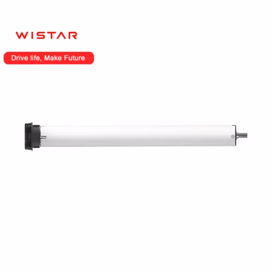 Built-in Bra and Sports Leggings Solid Fashion Women Activewear Yoga